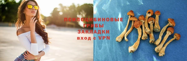 прущий лед Алексин