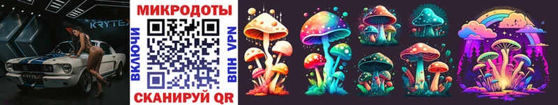 Галлюциногенные грибы Psilocybine cubensis  Урай 